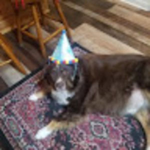 Meet your Posher, Brooklynn